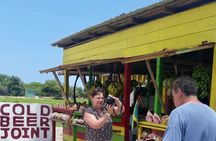 Sightseeing Tour of Montego Bay City w/ Options to Personalize