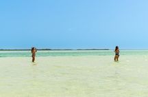 Holbox Island Tour from Cancun