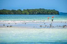 Holbox Paradise Island