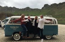 Wine Tour and Tastings in Hawkes Bay 