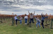 Wine Tour and Tastings in Hawkes Bay 