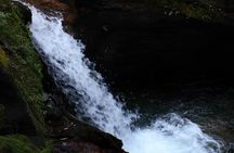 12-Day Nepal Adventure Trek with Jungle Safari