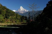 12-Day Nepal Adventure Trek with Jungle Safari