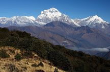 12-Day Nepal Adventure Trek with Jungle Safari