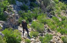 Shared Guided Canyoneering Experience in Snake Canyon of Oman