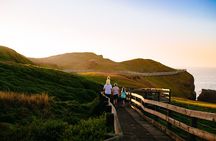 Full-Day Penguins and Wildlife Nature Experience from Melbourne