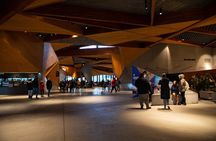 Full-Day Penguins and Wildlife Nature Experience from Melbourne