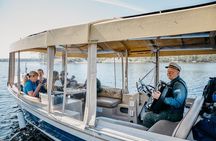 Lake Saimaa Small-Group Cruise with Stories and Music