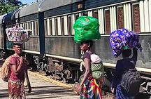 Walking Safari of Victoria Falls Town 