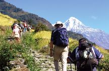 2 Days 1 Night Private Tour from Pokhara to Ghandruk Trek
