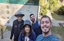 Walk to the Big Rock in Cantareira State Park: Optional airport pick-up