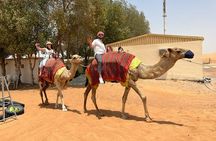 Vip Red Dune Safari, Pick & Drop ,Camel BBQ & Quad Option