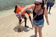  Negril Glass Bottom Boat Tour+Snorkeling visit Booby cay island 