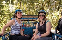 Mekong Delta Discovery Tour from Ho Chi Minh 
