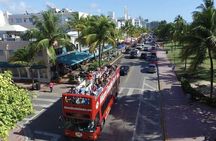 City Half Day Tour of Miami by Bus with Sightseeing Cruise