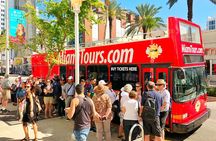 Miami Combo: City Tour, Biscayne Bay Cruise and Everglades Airboat Ride