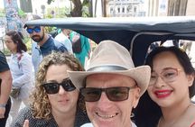 2-hour private tour in French with pinxos tasting