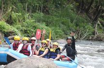 Rafting Swing Monkey Forest And Waterfall Tour All Inclusive