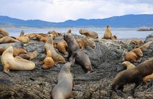 Navigation through the Beagle Channel, Los Lobos and the Bridges