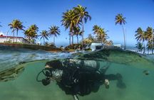 Discover Scuba Diving in San Juan