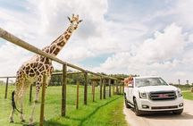Wild Florida Drive-Thru Safari and Gator Park Admission