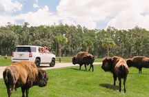 Wild Florida Drive-Thru Safari and Gator Park Admission