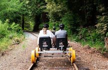 Redwoods Railbike Along Pudding Creek