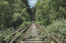 Redwoods Railbike Along Pudding Creek
