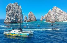 All Inclusive: snorkeling, boat tour, food and drinks! 