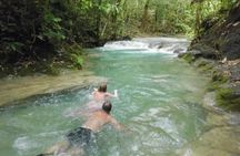 Lethe River Bamboo Rafting & Mayfield Falls with lunch & drink
