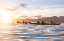 Sunset Evening Kayaking Tour - Kaikoura