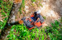 Action-packed Cancun ATV tour, Ziplines, Cenote, Lunch and More