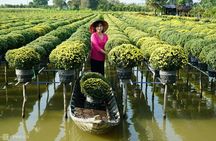 2-Day Mekong Delta: Gieng Island & Tram Chim National Park