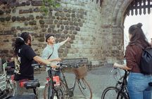 3-Hour Cologne Street Art Bike Tour in Small Group with Guide