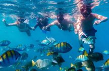 Los Cabos Snorkeling Tour by Speed Boat with Photos Included 