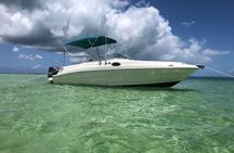 Private Full Day Charter - Stingray City, Starfish Point, Kaibo & Snorkeling