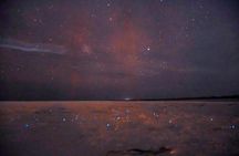 Magic Night of Stargazing and Bioluminescence
