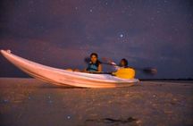 Magic Night of Stargazing and Bioluminescence