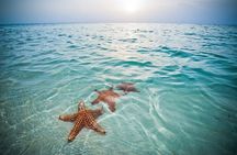 Private Full Day Charter - Stingray City, Starfish Point, Kaibo & Snorkeling