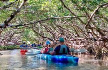 Small Group Kayak Tour of the Shell Key Preserve