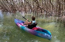 Small Group Kayak Tour of the Shell Key Preserve