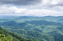 Half-Day Wine Tastings in the North Georgia Mountains 
