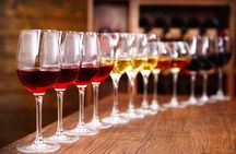 Half-Day Wine Tastings in the North Georgia Mountains 