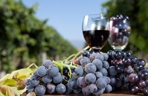 Half-Day Wine Tastings in the North Georgia Mountains 
