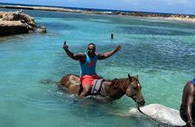 Horseback Ride & Swim guided Tour From Montego Bay with Pickup