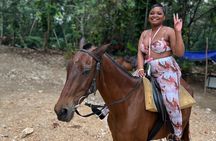 Horseback Ride & Swim guided Tour From Montego Bay with Pickup
