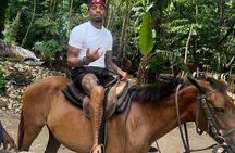 Horseback Ride & Swim guided Tour From Montego Bay with Pickup