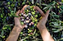 Corinth & Olive Oil Tasting Private Tour from Athens