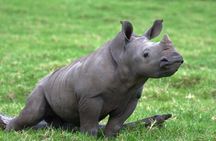 15-Day All Inclusive Sibuya Wilderness Guided Tour