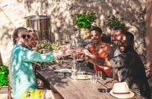 From Split: Krka Waterfalls, Food & Wine Tasting Tour